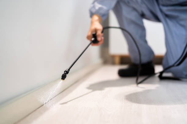 Licensed Termite Control service in Seminole County County, GA - Nex Pest Control