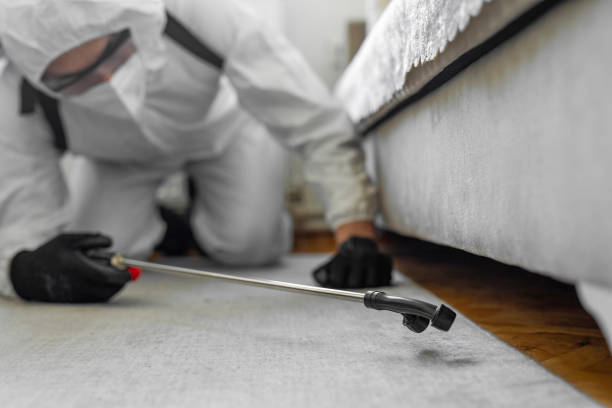 Professional Termite Control technician working in Seminole County County, GA
